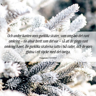 Picture 06 - 1 Kungaboken 7:24 SV1917 - Och under kanten voro gurklika sirater, som - Bible Verse Picture