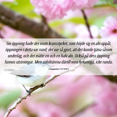 Picture 06 - 1 Kungaboken 7:31 SV1917 - Sin öppning hade det inom kransstycket, som - Bible Verse Picture