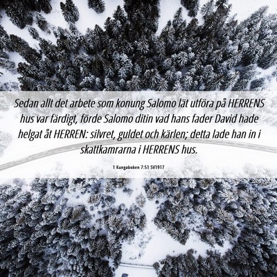 Picture 06 - 1 Kungaboken 7:51 SV1917 - Sedan allt det arbete som konung Salomo lät - Bible Verse Picture