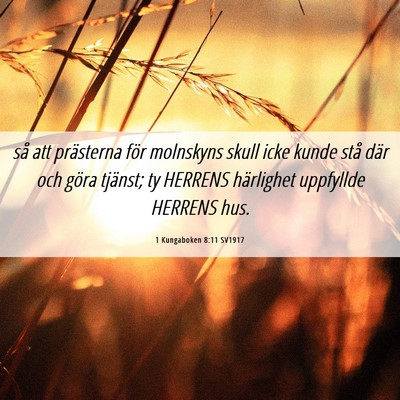 Picture 06 - 1 Kungaboken 8:11 SV1917 - så att prästerna för molnskyns skull icke - Bible Verse Picture