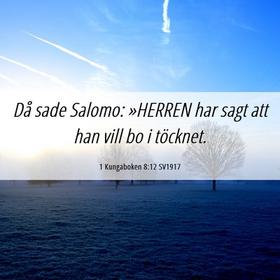 Picture 06 - 1 Kungaboken 8:12 SV1917 - Då sade Salomo: »HERREN har sagt att han vill - Bible Verse Picture