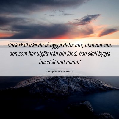 Picture 06 - 1 Kungaboken 8:19 SV1917 - dock skall icke du få bygga detta hus, utan din - Bible Verse Picture