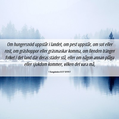 Picture 06 - 1 Kungaboken 8:37 SV1917 - Om hungersnöd uppstår i landet, om pest - Bible Verse Picture