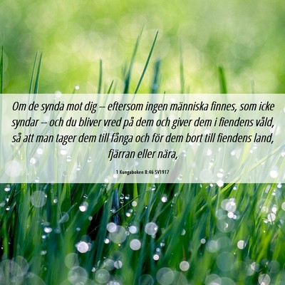 Picture 06 - 1 Kungaboken 8:46 SV1917 - Om de synda mot dig -- eftersom ingen människa - Bible Verse Picture