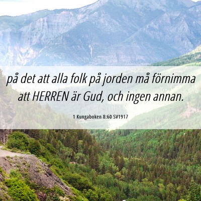 Picture 06 - 1 Kungaboken 8:60 SV1917 - på det att alla folk på jorden må förnimma - Bible Verse Picture