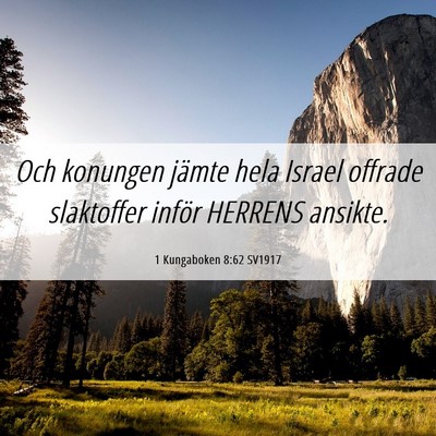 Picture 06 - 1 Kungaboken 8:62 SV1917 - Och konungen jämte hela Israel offrade - Bible Verse Picture