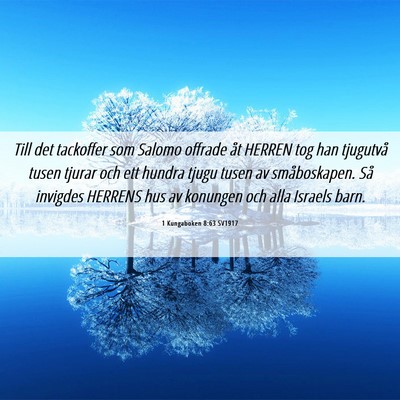 Picture 06 - 1 Kungaboken 8:63 SV1917 - Till det tackoffer som Salomo offrade åt HERREN - Bible Verse Picture
