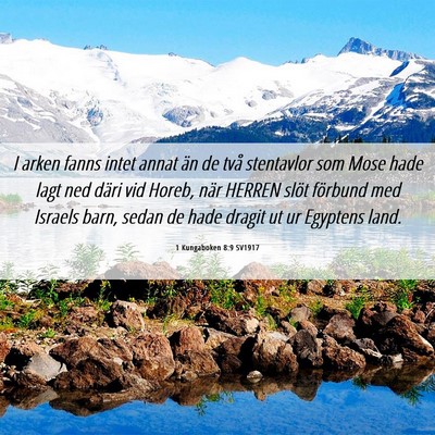 Picture 06 - 1 Kungaboken 8:9 SV1917 - I arken fanns intet annat än de två stentavlor - Bible Verse Picture