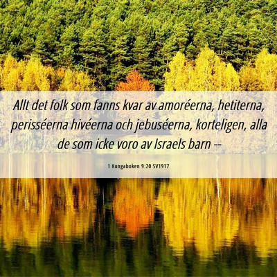 Picture 06 - 1 Kungaboken 9:20 SV1917 - Allt det folk som fanns kvar av amoréerna, - Bible Verse Picture