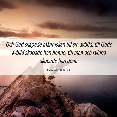 Picture 06 - 1 Mosebok 1:27 SV1917 - Och Gud skapade människan till sin avbild, till - Bible Verse Picture