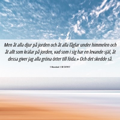 Picture 06 - 1 Mosebok 1:30 SV1917 - Men åt alla djur på jorden och åt alla fåglar - Bible Verse Picture