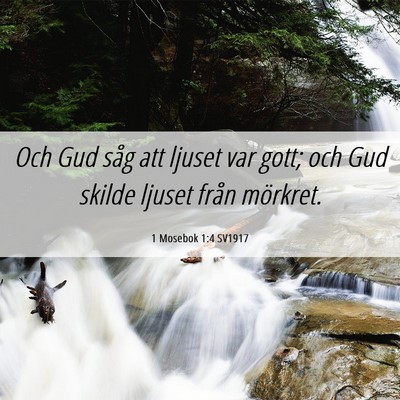 Picture 06 - 1 Mosebok 1:4 SV1917 - Och Gud såg att ljuset var gott; och Gud skilde - Bible Verse Picture
