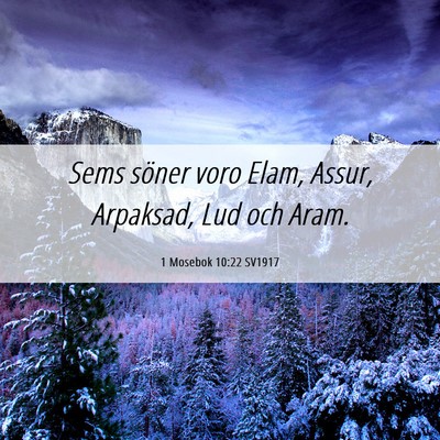 Picture 06 - 1 Mosebok 10:22 SV1917 - Sems söner voro Elam, Assur, Arpaksad, Lud och - Bible Verse Picture
