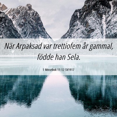Picture 06 - 1 Mosebok 11:12 SV1917 - När Arpaksad var trettiofem år gammal, födde - Bible Verse Picture
