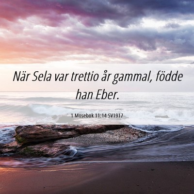 Picture 06 - 1 Mosebok 11:14 SV1917 - När Sela var trettio år gammal, födde han - Bible Verse Picture