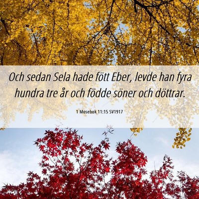 Picture 06 - 1 Mosebok 11:15 SV1917 - Och sedan Sela hade fött Eber, levde han fyra - Bible Verse Picture