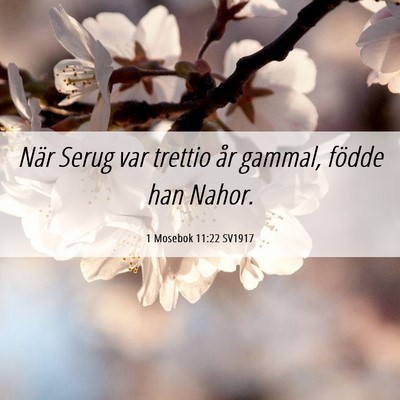 Picture 06 - 1 Mosebok 11:22 SV1917 - När Serug var trettio år gammal, födde han - Bible Verse Picture