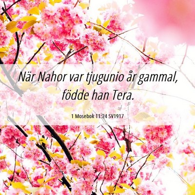 Picture 06 - 1 Mosebok 11:24 SV1917 - När Nahor var tjugunio år gammal, födde han - Bible Verse Picture