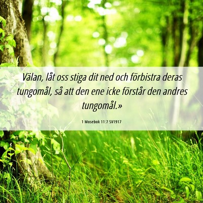 Picture 06 - 1 Mosebok 11:7 SV1917 - Välan, låt oss stiga dit ned och förbistra - Bible Verse Picture