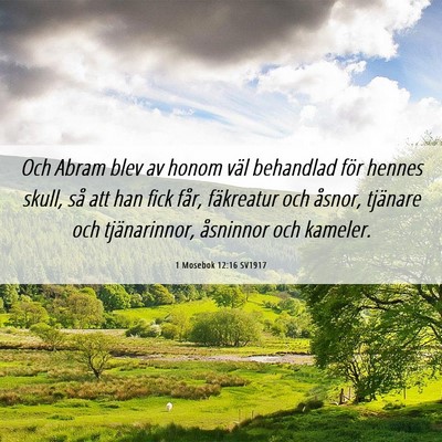 Picture 06 - 1 Mosebok 12:16 SV1917 - Och Abram blev av honom väl behandlad för - Bible Verse Picture