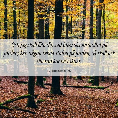 Picture 06 - 1 Mosebok 13:16 SV1917 - Och jag skall låta din säd bliva såsom stoftet - Bible Verse Picture