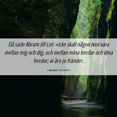 Picture 06 - 1 Mosebok 13:8 SV1917 - Då sade Abram till Lot: »Icke skall någon - Bible Verse Picture