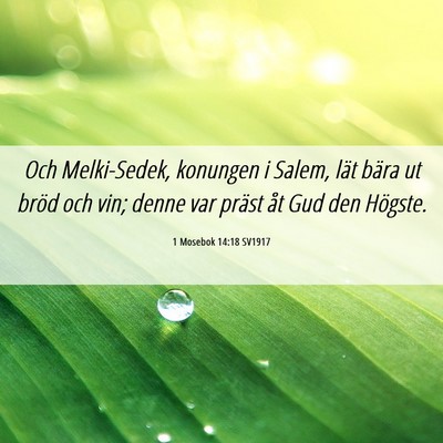 Picture 06 - 1 Mosebok 14:18 SV1917 - Och Melki-Sedek, konungen i Salem, lät bära ut - Bible Verse Picture