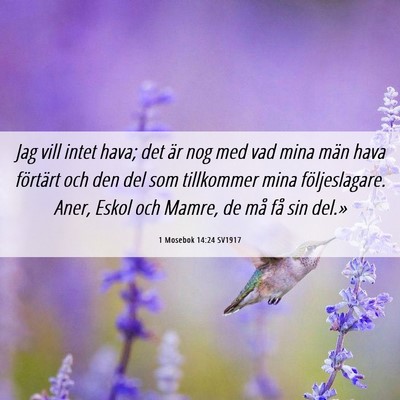 Picture 06 - 1 Mosebok 14:24 SV1917 - Jag vill intet hava; det är nog med vad mina - Bible Verse Picture