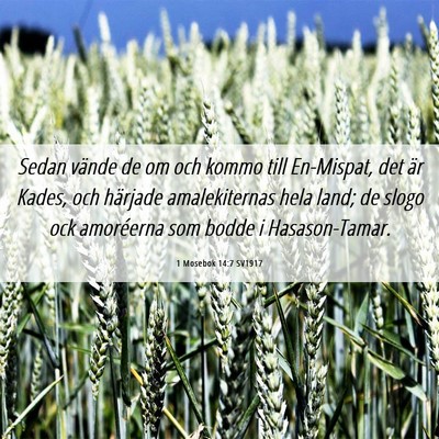 Picture 06 - 1 Mosebok 14:7 SV1917 - Sedan vände de om och kommo till En-Mispat, det - Bible Verse Picture