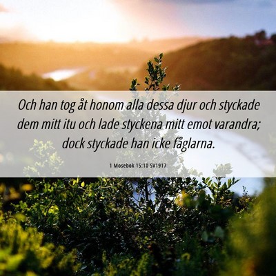 Picture 06 - 1 Mosebok 15:10 SV1917 - Och han tog åt honom alla dessa djur och - Bible Verse Picture