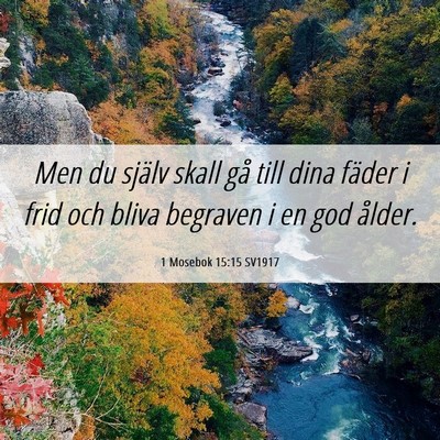 Picture 06 - 1 Mosebok 15:15 SV1917 - Men du själv skall gå till dina fäder i frid - Bible Verse Picture