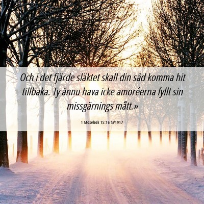 Picture 06 - 1 Mosebok 15:16 SV1917 - Och i det fjärde släktet skall din säd komma - Bible Verse Picture