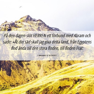 Picture 06 - 1 Mosebok 15:18 SV1917 - På den dagen slöt HERREN ett förbund med Abram - Bible Verse Picture