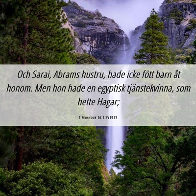 Picture 06 - 1 Mosebok 16:1 SV1917 - Och Sarai, Abrams hustru, hade icke fött barn - Bible Verse Picture