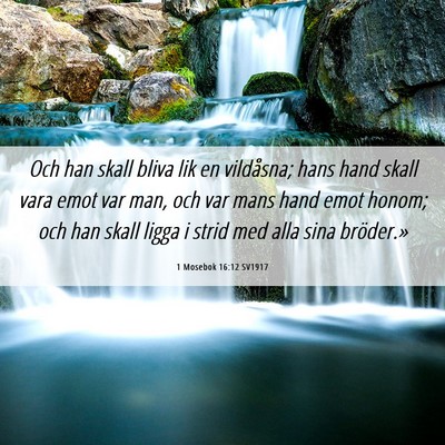 Picture 06 - 1 Mosebok 16:12 SV1917 - Och han skall bliva lik en vildåsna; hans hand - Bible Verse Picture