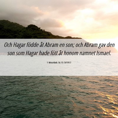 Picture 06 - 1 Mosebok 16:15 SV1917 - Och Hagar födde åt Abram en son; och Abram gav - Bible Verse Picture