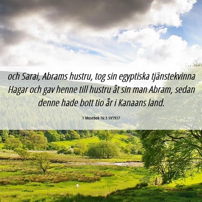 Picture 06 - 1 Mosebok 16:3 SV1917 - och Sarai, Abrams hustru, tog sin egyptiska - Bible Verse Picture