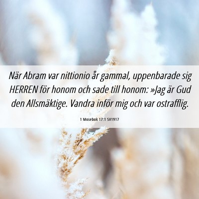 Picture 06 - 1 Mosebok 17:1 SV1917 - När Abram var nittionio år gammal, uppenbarade - Bible Verse Picture