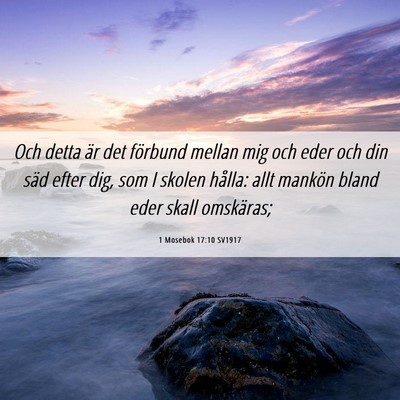 Picture 06 - 1 Mosebok 17:10 SV1917 - Och detta är det förbund mellan mig och eder - Bible Verse Picture