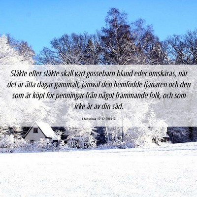 Picture 06 - 1 Mosebok 17:12 SV1917 - Släkte efter släkte skall vart gossebarn bland - Bible Verse Picture