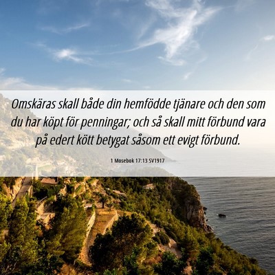 Picture 06 - 1 Mosebok 17:13 SV1917 - Omskäras skall både din hemfödde tjänare och - Bible Verse Picture