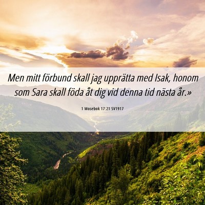 Picture 06 - 1 Mosebok 17:21 SV1917 - Men mitt förbund skall jag upprätta med Isak, - Bible Verse Picture