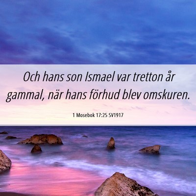 Picture 06 - 1 Mosebok 17:25 SV1917 - Och hans son Ismael var tretton år gammal, när - Bible Verse Picture