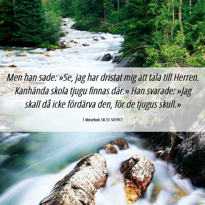 Picture 06 - 1 Mosebok 18:31 SV1917 - Men han sade: »Se, jag har dristat mig att tala - Bible Verse Picture