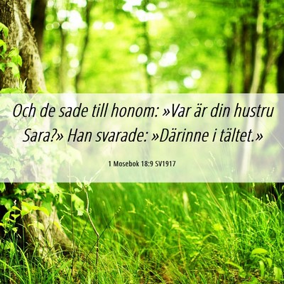 Picture 06 - 1 Mosebok 18:9 SV1917 - Och de sade till honom: »Var är din hustru - Bible Verse Picture