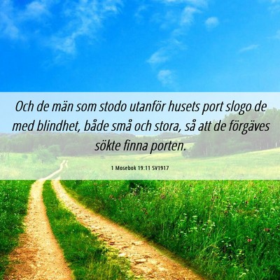 Picture 06 - 1 Mosebok 19:11 SV1917 - Och de män som stodo utanför husets port slogo - Bible Verse Picture