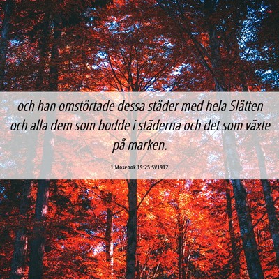 Picture 06 - 1 Mosebok 19:25 SV1917 - och han omstörtade dessa städer med hela - Bible Verse Picture