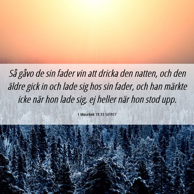 Picture 06 - 1 Mosebok 19:33 SV1917 - Så gåvo de sin fader vin att dricka den natten, - Bible Verse Picture