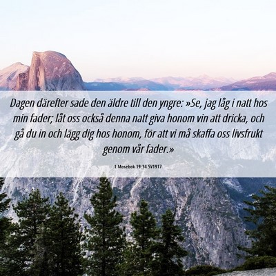 Picture 06 - 1 Mosebok 19:34 SV1917 - Dagen därefter sade den äldre till den yngre: - Bible Verse Picture