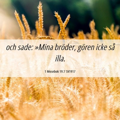 Picture 06 - 1 Mosebok 19:7 SV1917 - och sade: »Mina bröder, gören icke så - Bible Verse Picture
